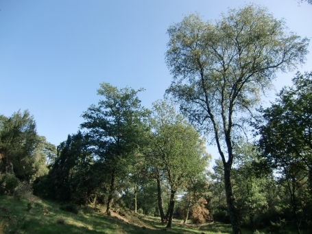 Schermbeck : Impressionen aus dem Naturschutzgebiet Loosenberge